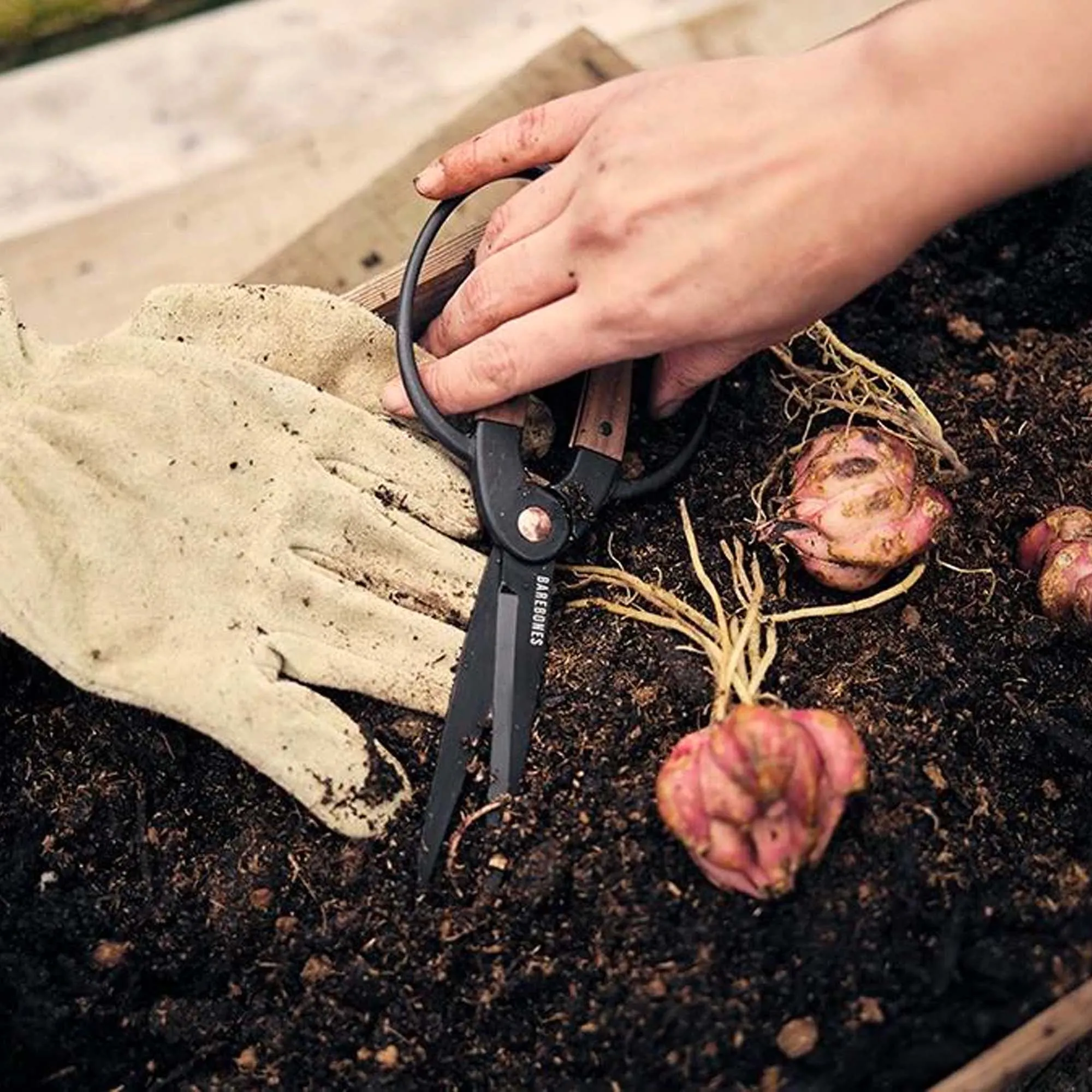 Garden Scissors