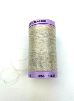 Large Oat Variegated Mettler Thread 9854 - 457m