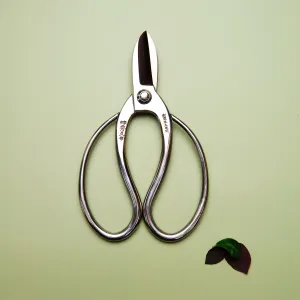 Stainless Steel Ikebana Scissors